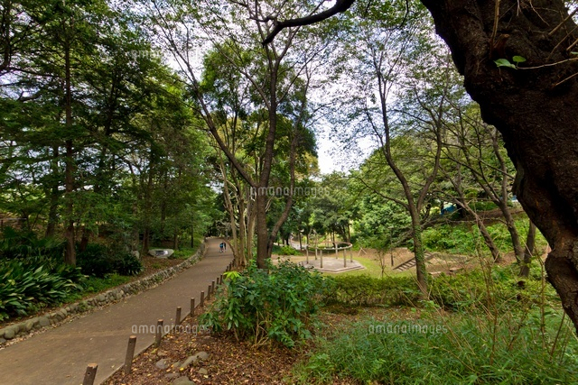 戸山公園(箱根山地区)
(c)Yutaka Isayama/a.collectionRF