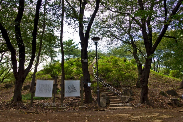 戸山公園(箱根山地区)
(c)Yutaka Isayama/a.collectionRF