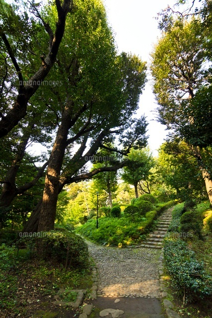 甘泉園公園
(c)Yutaka Isayama/a.collectionRF