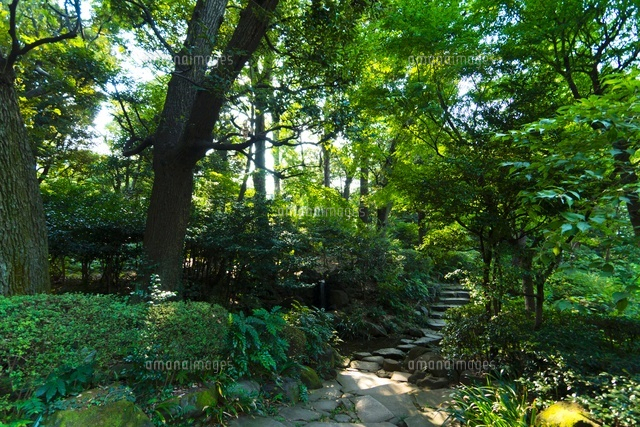 甘泉園公園
(c)Yutaka Isayama/a.collectionRF