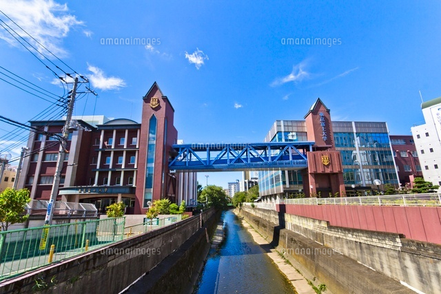 東京富士大学
(c)Yutaka Isayama/a.collectionRF