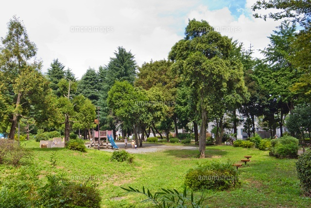 新宿区立戸山公園
(c)Yutaka Isayama/a.collectionRF
