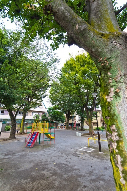 新宿区立大久保北公園
(c)Yutaka Isayama/a.collectionRF