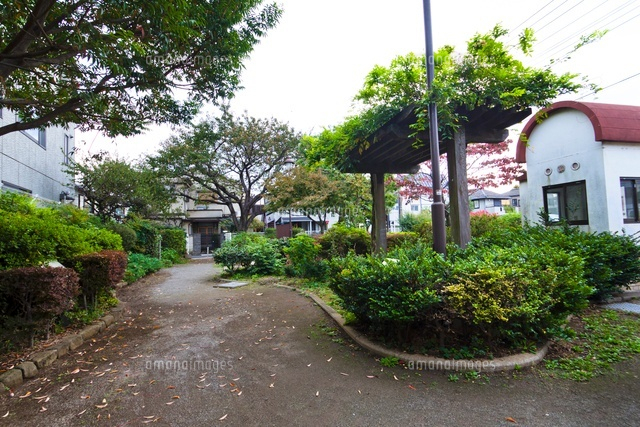 豊島区立千早緑地公園
(c)Yutaka Isayama/a.collectionRF