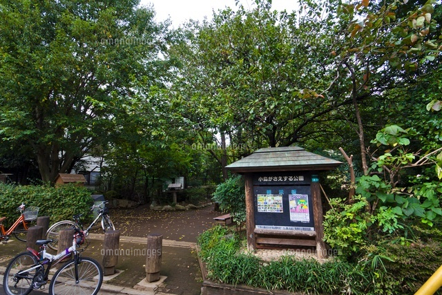 小鳥がさえずる公園
(c)Yutaka Isayama/a.collectionRF