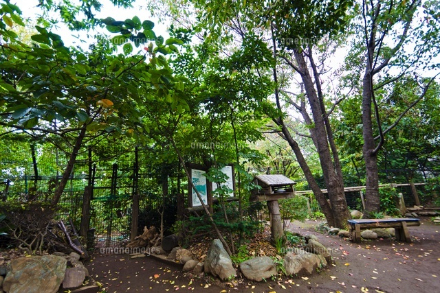 小鳥がさえずる公園
(c)Yutaka Isayama/a.collectionRF