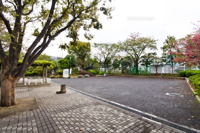 豊島区立千早公園
(c)Yutaka Isayama/a.collectionRF