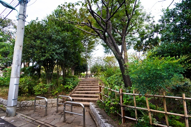 豊島区立千早公園
(c)Yutaka Isayama/a.collectionRF