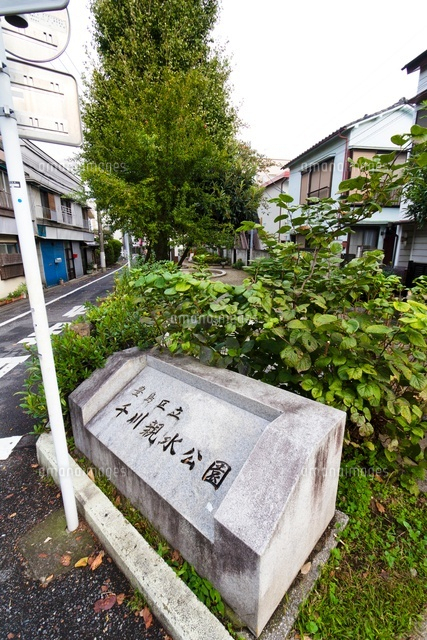 豊島区立千川親水公園
(c)Yutaka Isayama/a.collectionRF