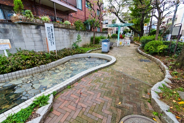 豊島区立千川親水公園
(c)Yutaka Isayama/a.collectionRF