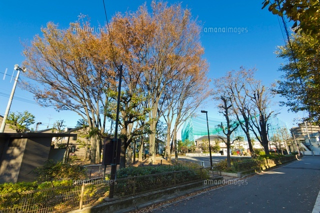 練馬区立 早宮公園
(c)Yutaka Isayama/a.collectionRF
