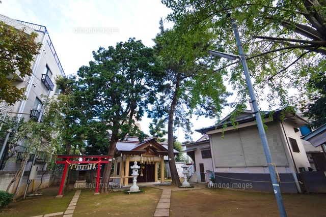 八雲神社
(c)Yutaka Isayama/a.collectionRF