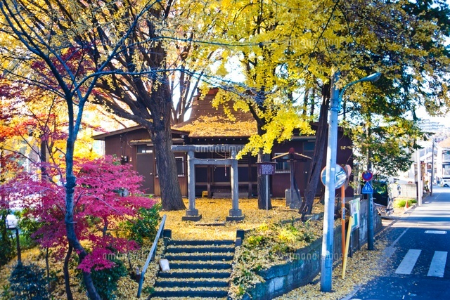八坂神社
(c)Yutaka Isayama/a.collectionRF