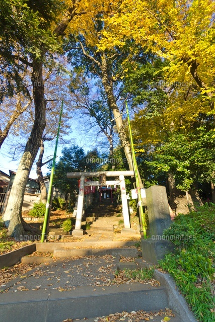 出世稲荷神社
(c)Yutaka Isayama/a.collectionRF
