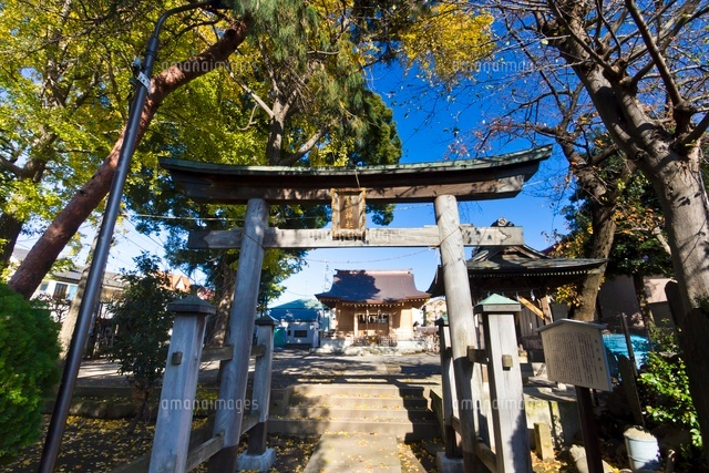 氷川神社
(c)Yutaka Isayama/a.collectionRF