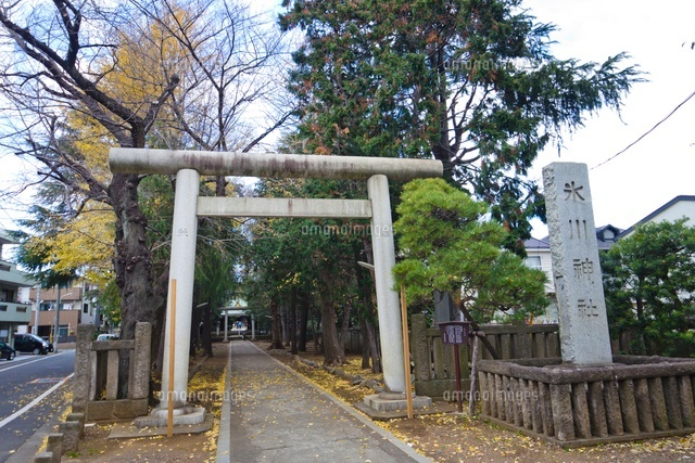 氷川神社
(c)Yutaka Isayama/a.collectionRF