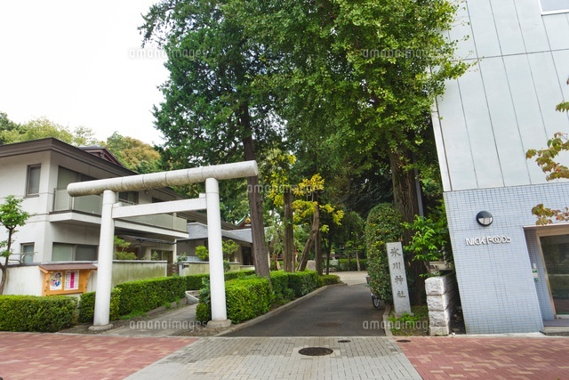 氷川神社
(c)Yutaka Isayama/a.collectionRF