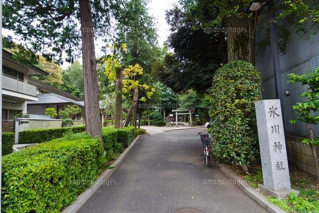 氷川神社
(c)Yutaka Isayama/a.collectionRF