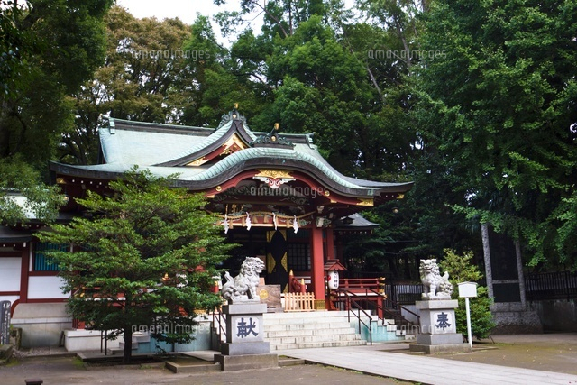 氷川神社
(c)Yutaka Isayama/a.collectionRF