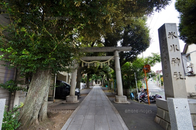 氷川神社
(c)Yutaka Isayama/a.collectionRF