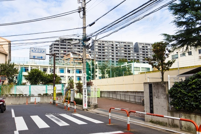新宿区立柏木小学校
(c)Yutaka Isayama/a.collectionRF