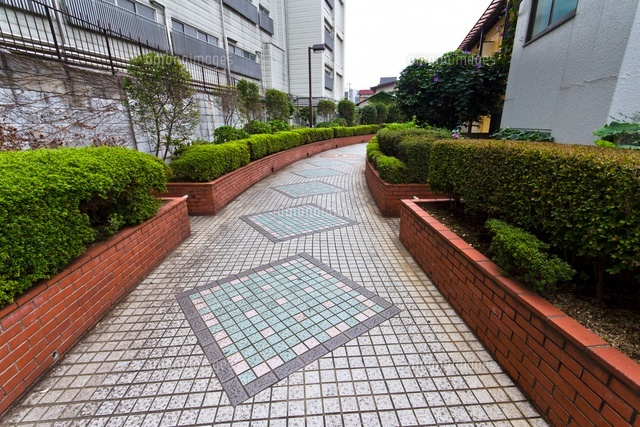 桃園川緑道
(c)Yutaka Isayama/a.collectionRF