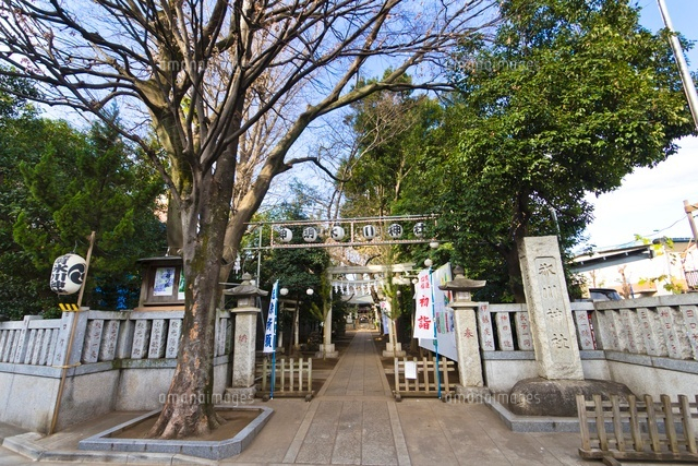 神明氷川神社
(c)Yutaka Isayama/a.collectionRF