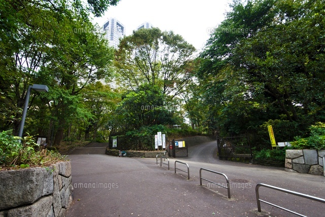 新宿公園
(c)Yutaka Isayama/a.collectionRF