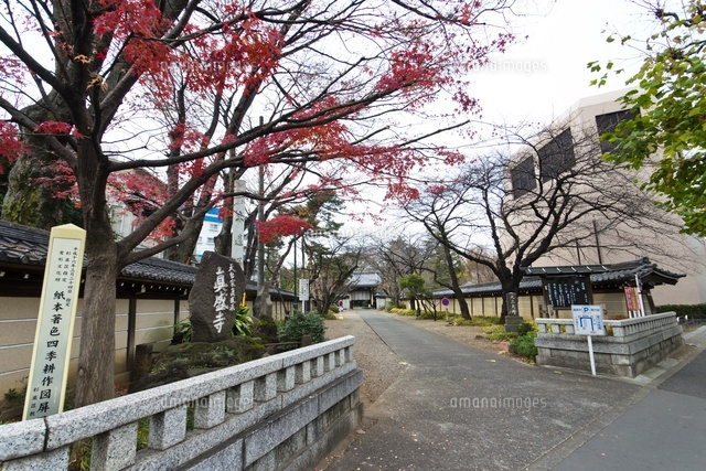 真盛寺
(c)Yutaka Isayama/a.collectionRF