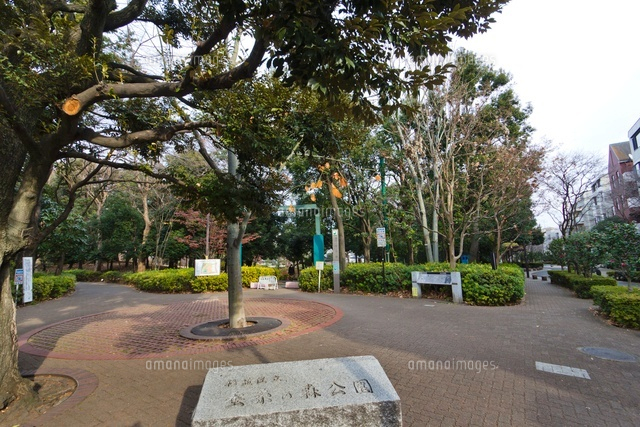 杉並区立 蚕糸の森公園
(c)Yutaka Isayama/a.collectionRF