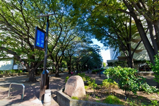 都立戸山町公園・箱根山地区
(c)Yutaka Isayama/a.collectionRF