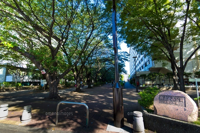 都立戸山町公園・箱根山地区
(c)Yutaka Isayama/a.collectionRF