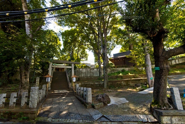 西向天神社(入口)
(c)Yutaka Isayama/a.collectionRF