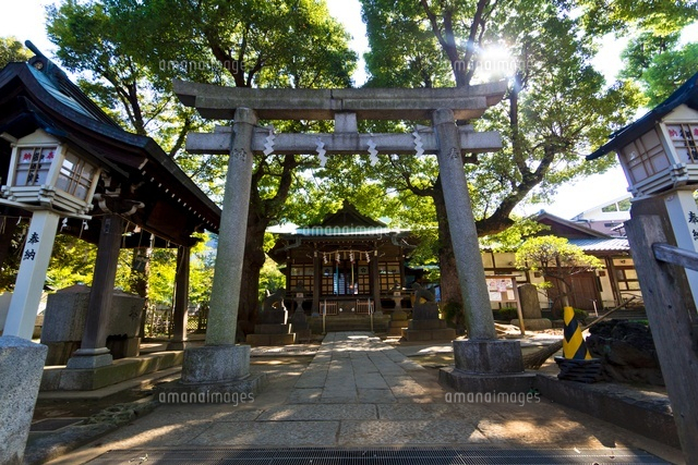 西向天神社(本堂)
(c)Yutaka Isayama/a.collectionRF