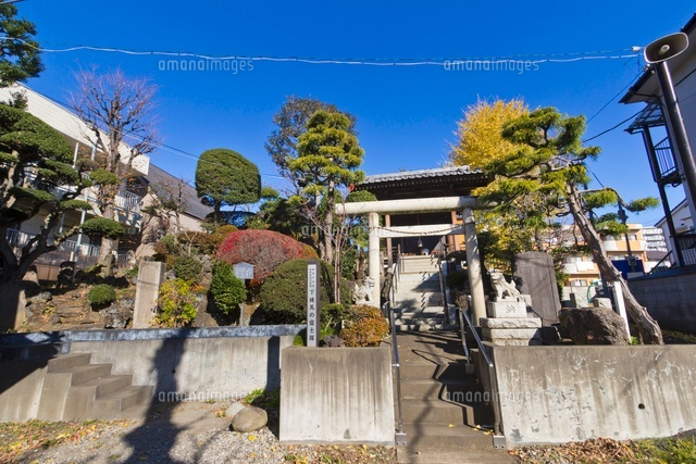 浅間神社
(c)Yutaka Isayama/a.collectionRF