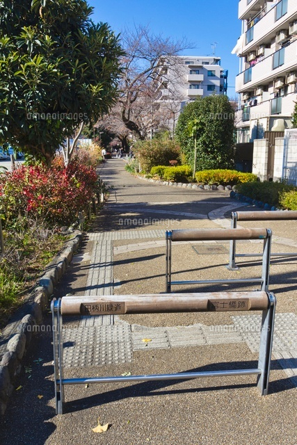 田柄川緑道
(c)Yutaka Isayama/a.collectionRF