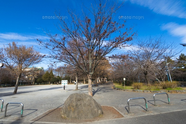 善福寺川緑地
(c)Yutaka Isayama/a.collectionRF
