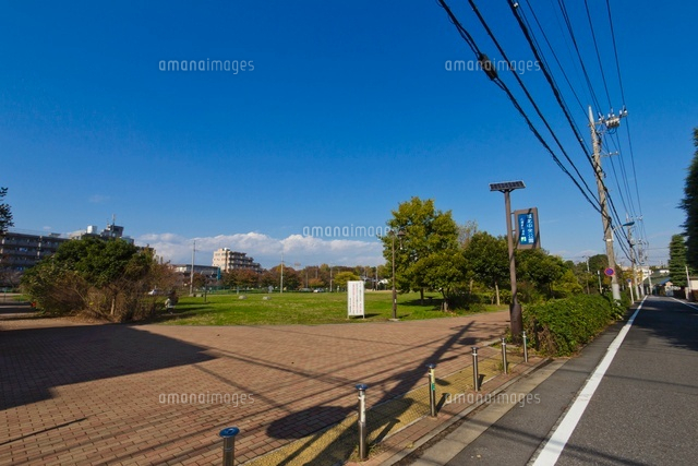 城北中央公園
(c)Yutaka Isayama/a.collectionRF