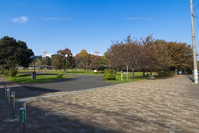 城北中央公園 多目的運動広場
(c)Yutaka Isayama/a.collectionRF