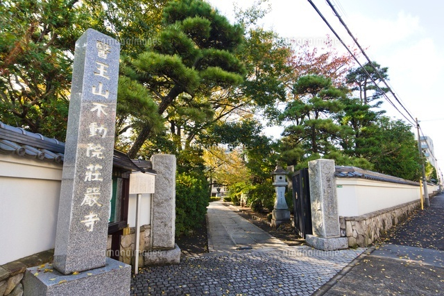 不動院荘嚴寺
(c)Yutaka Isayama/a.collectionRF