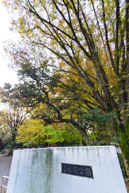 高稲荷公園
(c)Yutaka Isayama/a.collectionRF