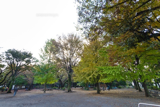 高稲荷公園
(c)Yutaka Isayama/a.collectionRF