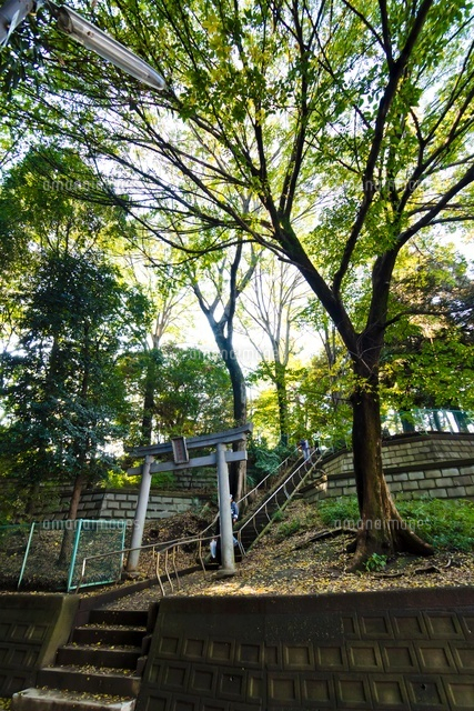 高稲荷神社
(c)Yutaka Isayama/a.collectionRF