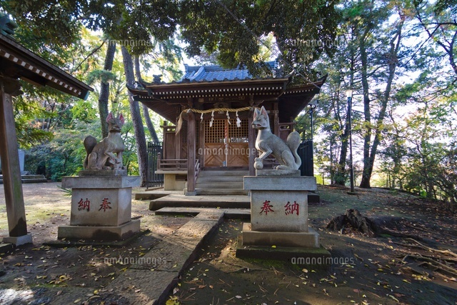 高稲荷神社
(c)Yutaka Isayama/a.collectionRF