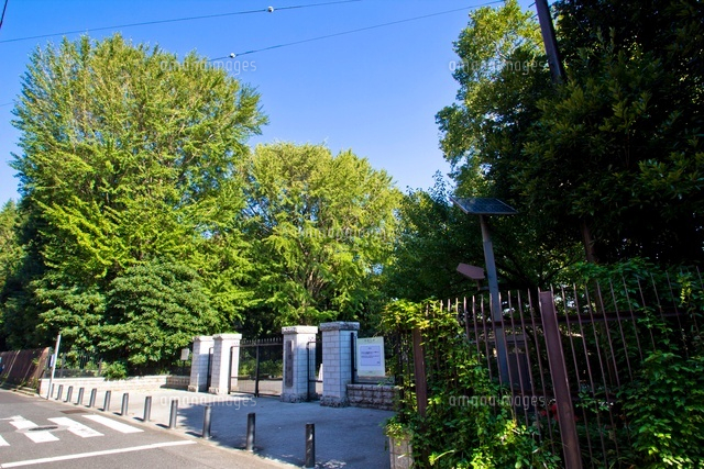 新宿御苑・千駄ヶ谷門
(c)Yutaka Isayama/a.collectionRF