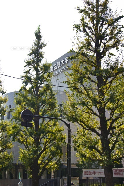 津田塾大学・津田ホール
(c)Yutaka Isayama/a.collectionRF