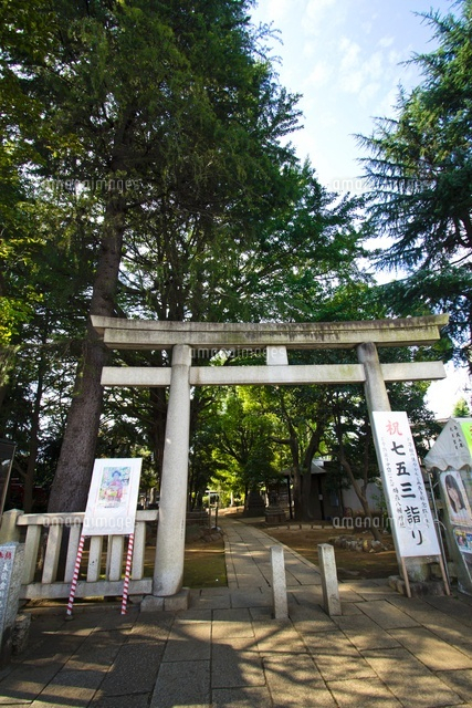 鳩森八幡神社(北側入口)
(c)Yutaka Isayama/a.collectionRF