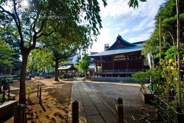 鳩森八幡神社(本堂)
(c)Yutaka Isayama/a.collectionRF