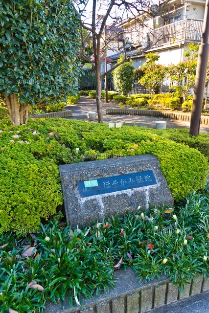 練馬区立 ほそがみ緑地
(c)Yutaka Isayama/a.collectionRF