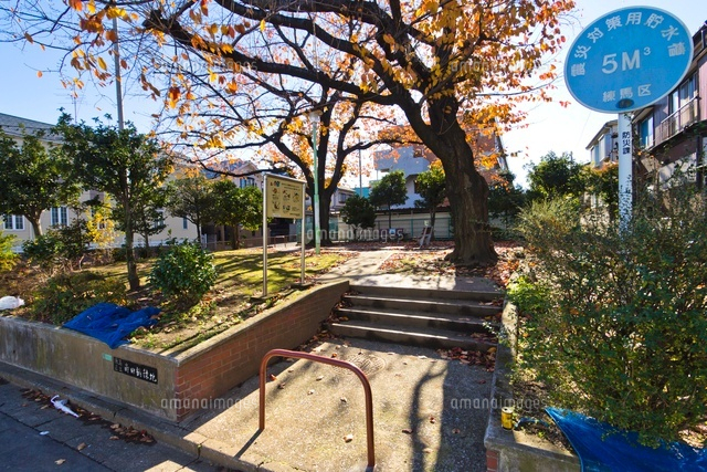 練馬区立 南田柄緑地
(c)Yutaka Isayama/a.collectionRF
